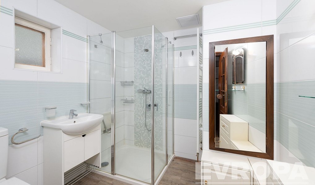 Prodej domu 298 m² s pozemkem 1 166 m², Nová Ves pod Pleší – náhled fotky 12