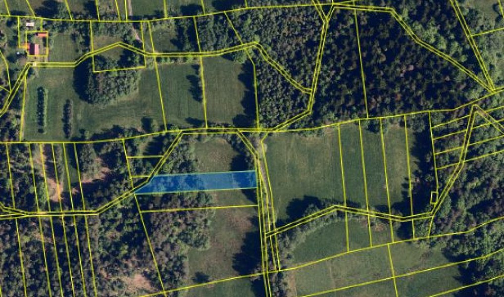 Prodej pole 16 887 m², Milíkov – náhled fotky 4