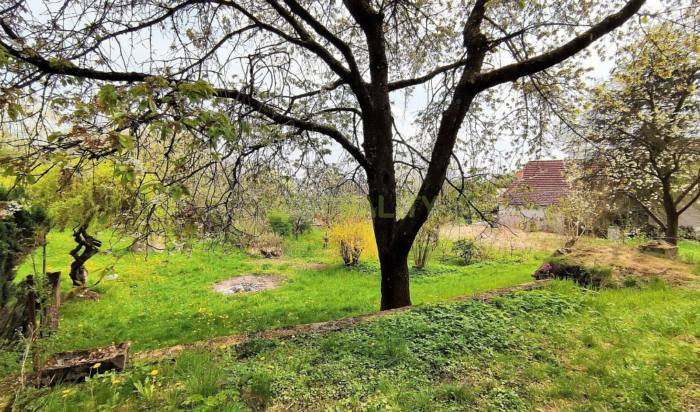 Prodej stavebního pozemku 1 872 m², Pyšely – náhled fotky 3