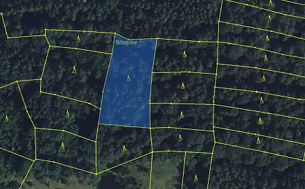 Prodej lesa 4 106 m², Bezděčí u Trnávky - Druztová