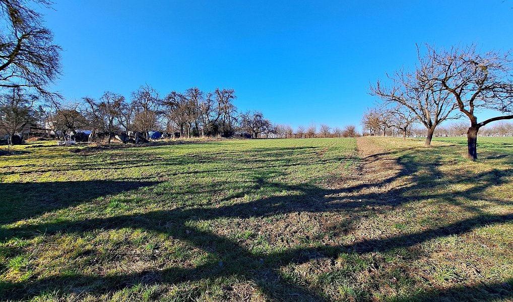 Prodej pole 4 979 m², Štěchov – náhled fotky 16