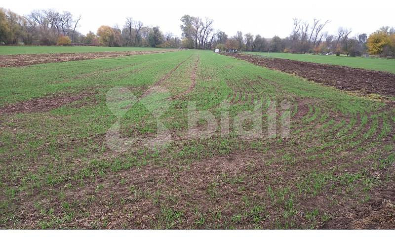 Prodej pole 3 241 m² – fotografie 2