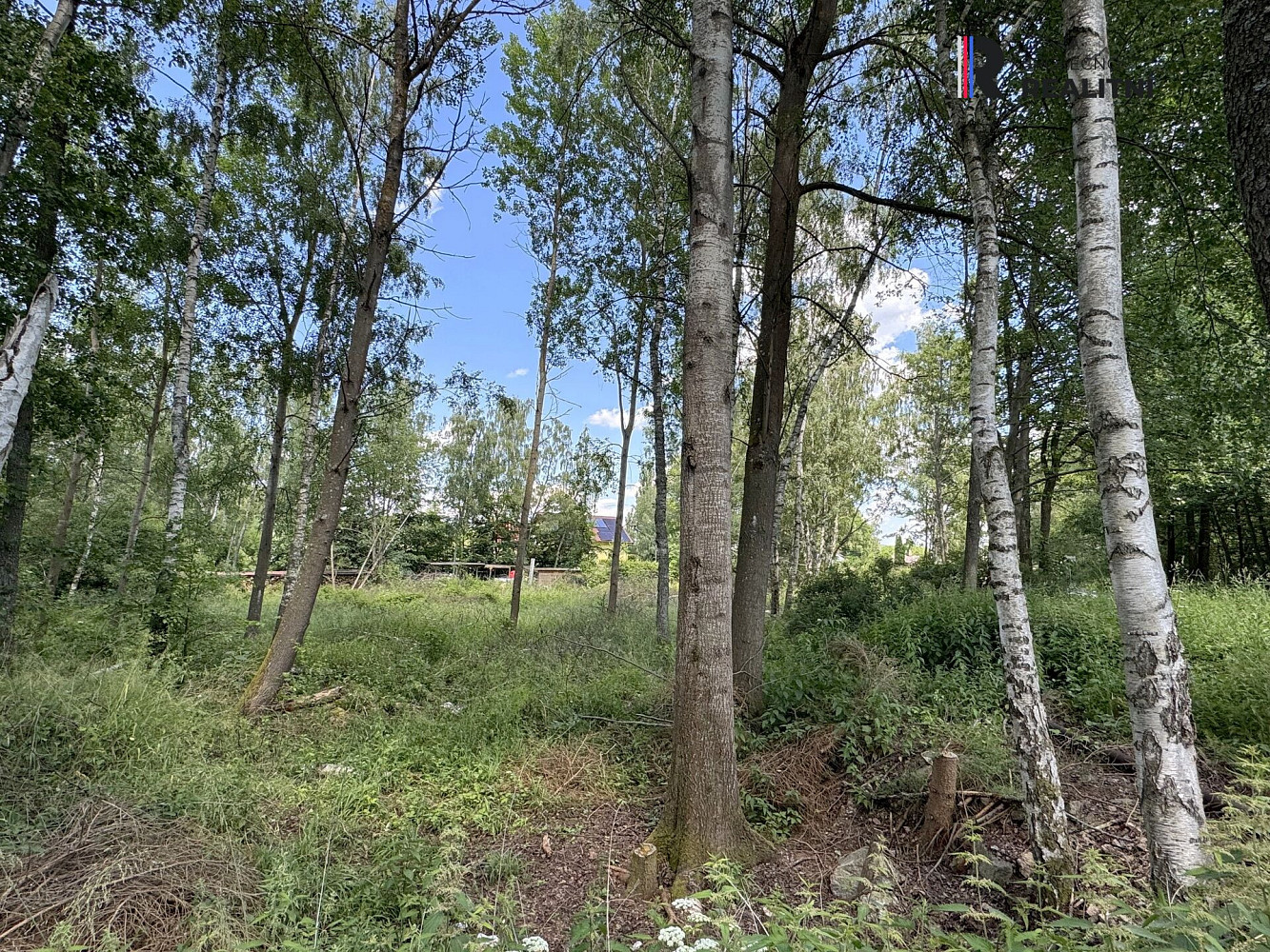 Prodej pozemku 3 000 m² – fotografie 2
