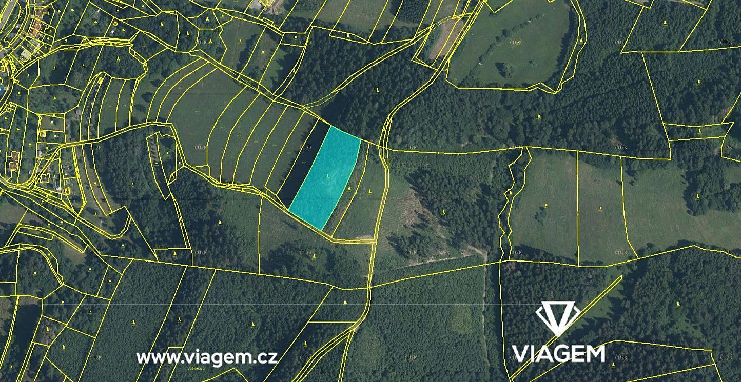 Prodej lesa 1 672 m² – pohled 5