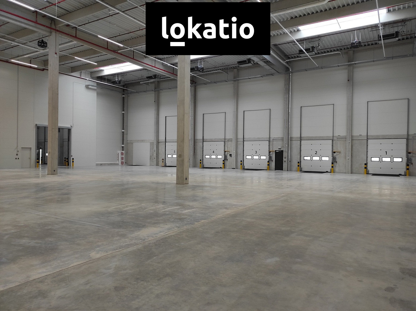 Pronájem skladovacích prostor 3 858 m² — photo 4