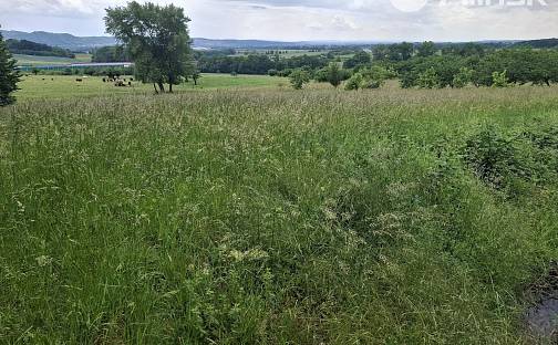 Prodej louky 4 354 m², Lipník nad Bečvou - Lipník nad Bečvou V-Podhoří, okres Přerov