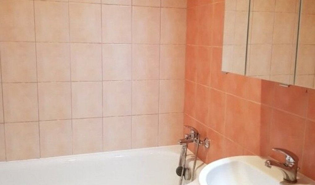 Pronájem bytu 2+1 55 m², Hradec Králové – náhled fotky 8