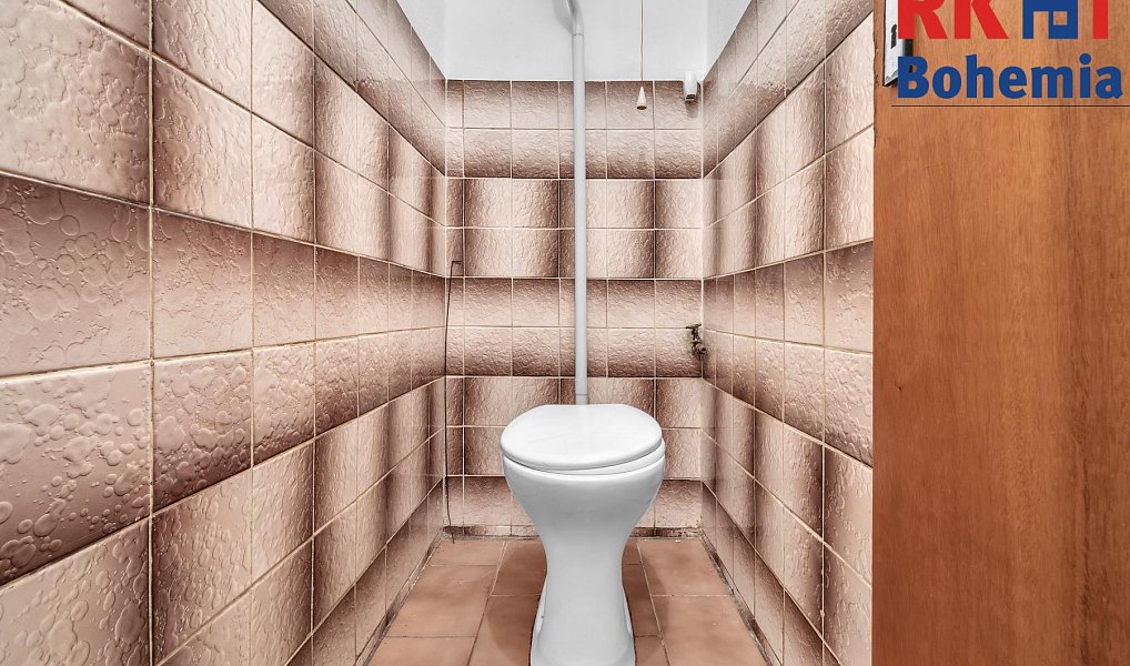 Prodej domu 220 m² s pozemkem 5 365 m², Dolní Bousov – náhled fotky 18