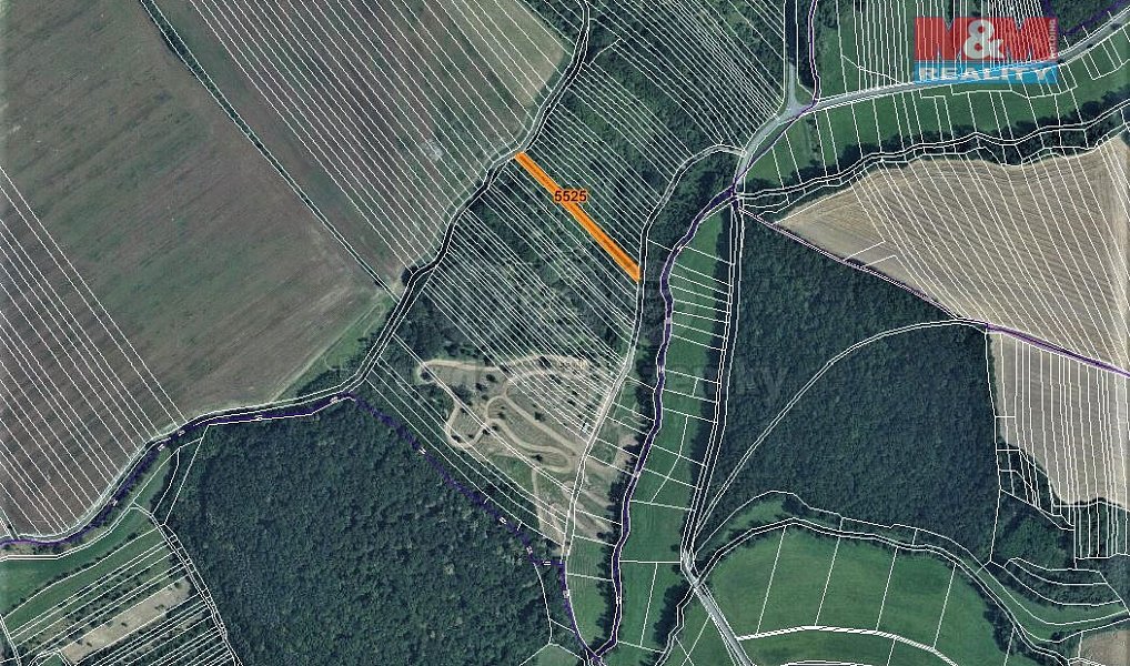 Prodej louky 1 586 m², Březolupy – náhled fotky 3