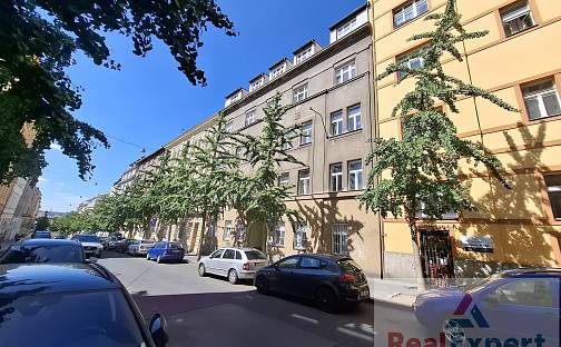 Pronájem bytu 5+kk 166 m², Máchova, Praha 2 - Vinohrady