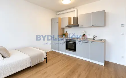 Prodej bytu 1+kk 38 m², Nová, České Budějovice - České Budějovice 3