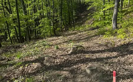 Prodej lesa 3 320 m², Hřivínův Újezd, okres Zlín