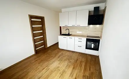 Prodej bytu 1+1 42 m², Revoluční, Litoměřice - Pokratice