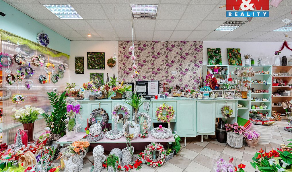 Pronájem obchodních prostor 133 m², Třemošná – náhled fotky 14