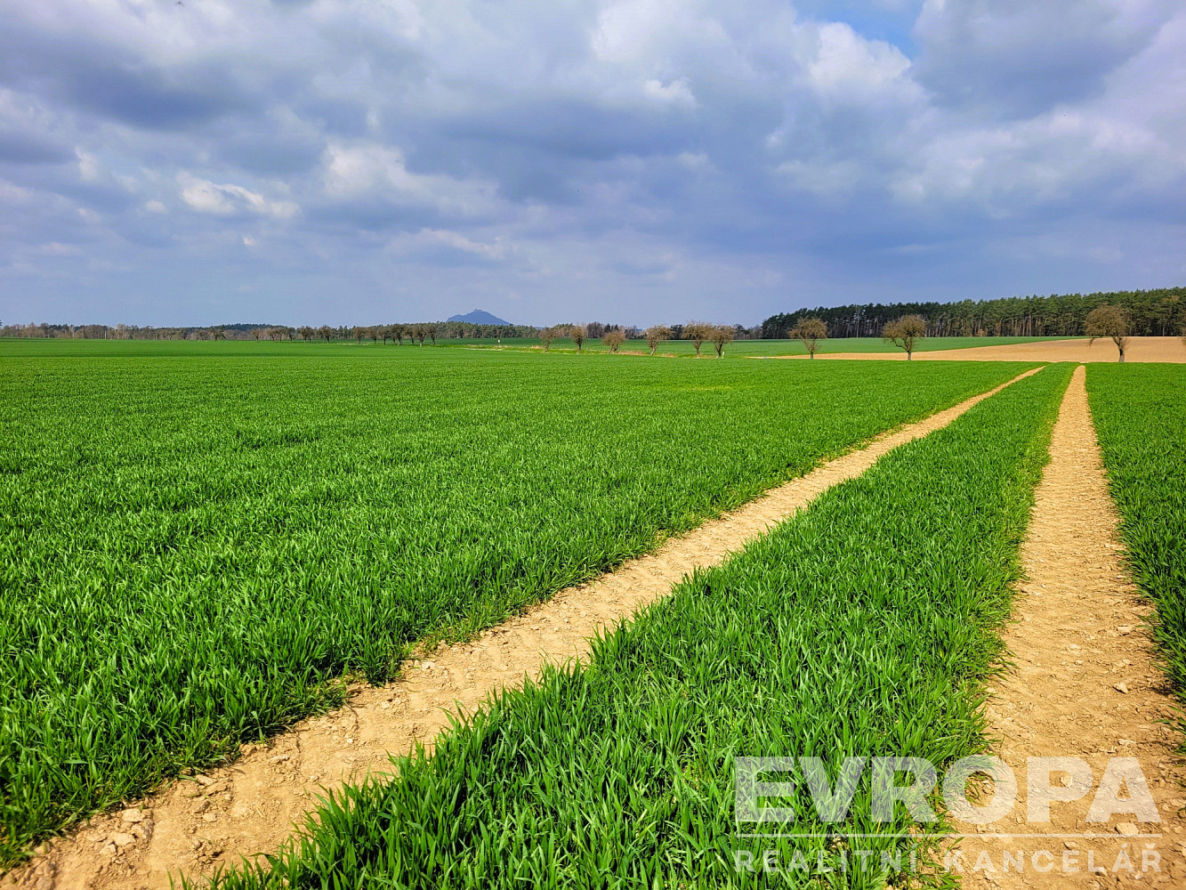 Prodej pole 27 281 m² – fotografie 2
