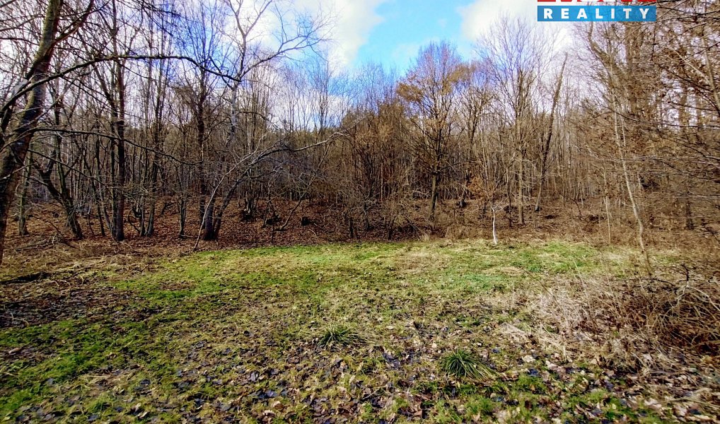 Pronájem louky 931 m², Slatina – náhled fotky 2