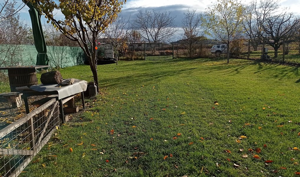 Prodej stavebního pozemku 1 285 m², Dolní Dunajovice – náhled fotky 5