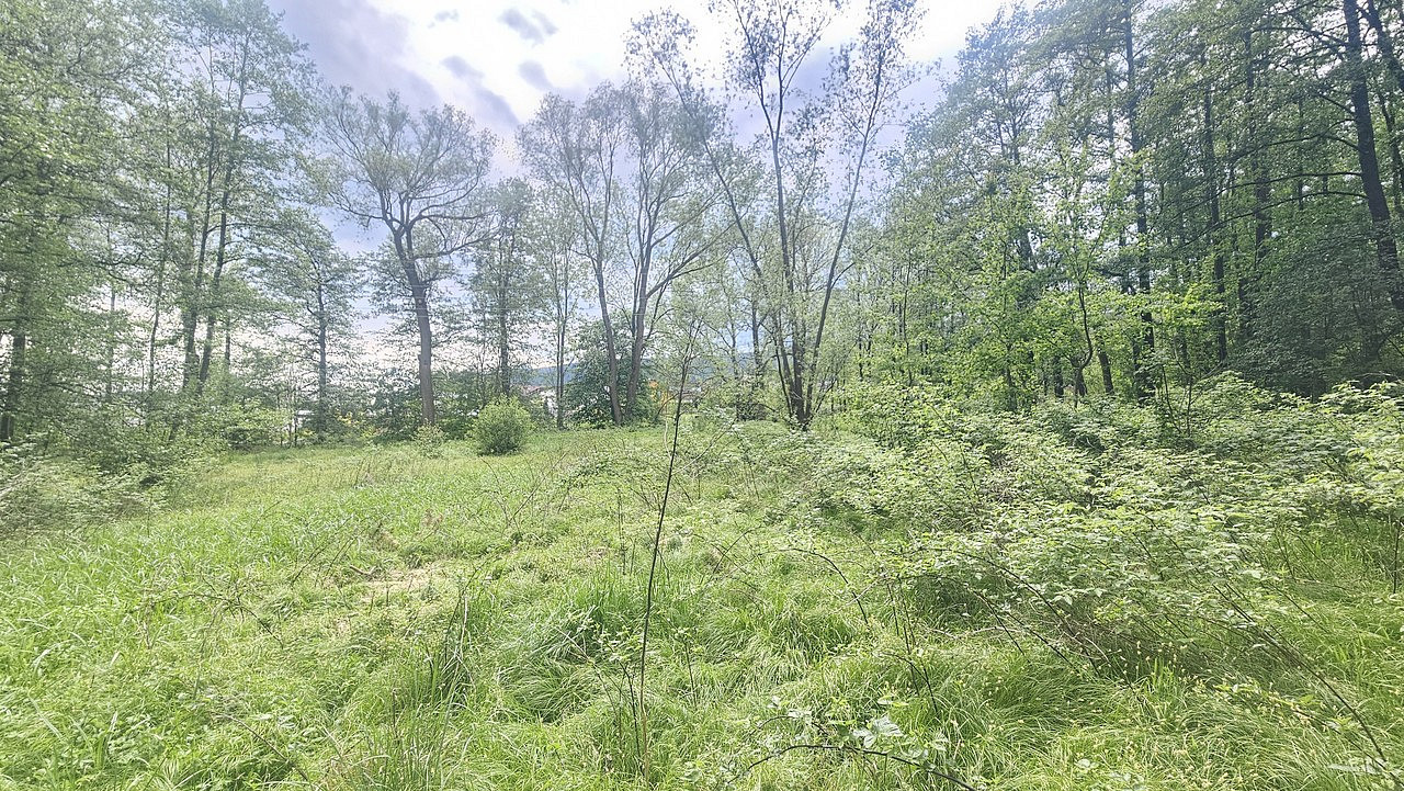 Prodej pozemku 9 589 m² – fotografie 4