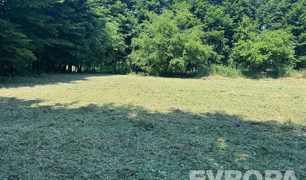 Prodej stavebního pozemku 2 813 m², Sendražice – náhled fotky 11