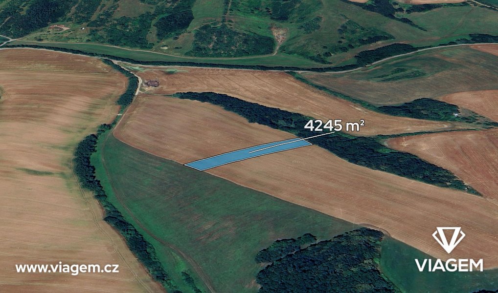 Prodej pole 530 m², Nedachlebice – fotka 1 z 5