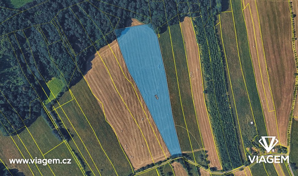 Prodej pole 1 337 m², Hostašovice – náhled fotky 4