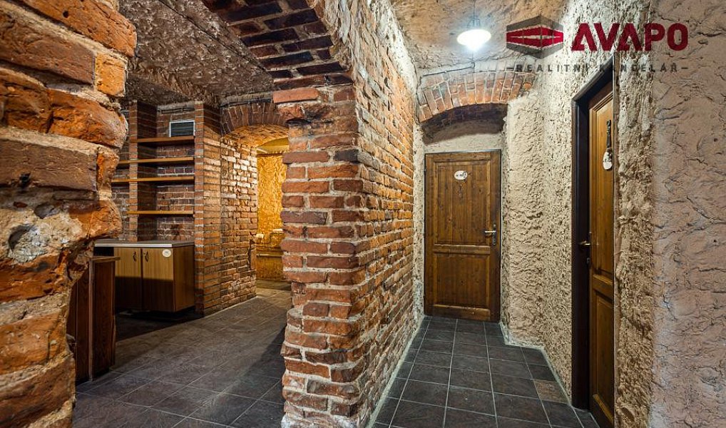 Prodej obchodních prostor 166 m², Opava – náhled fotky 14