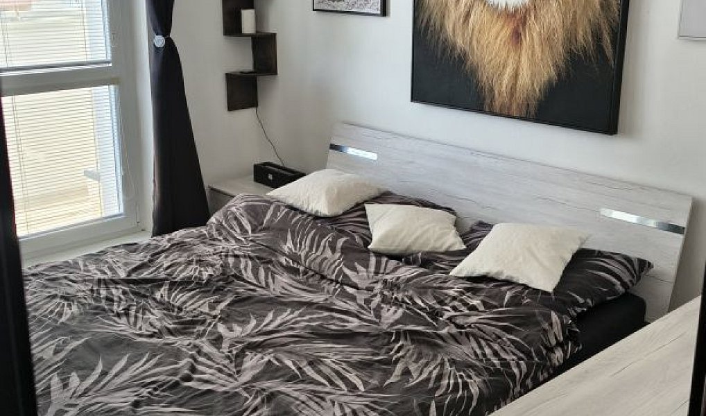Prodej bytu 2+1 54 m², Jihlava – náhled fotky 13