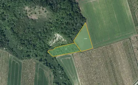 Prodej pole 28 919 m², Želkovice, okres Louny