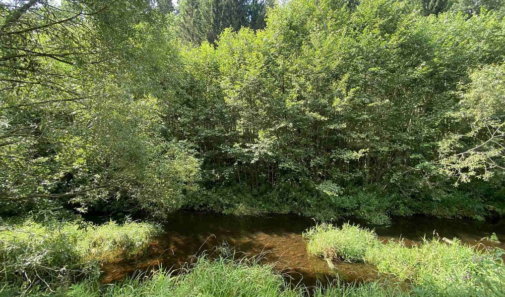 Prodej pozemku 843 m², Kaplice – náhled fotky 4
