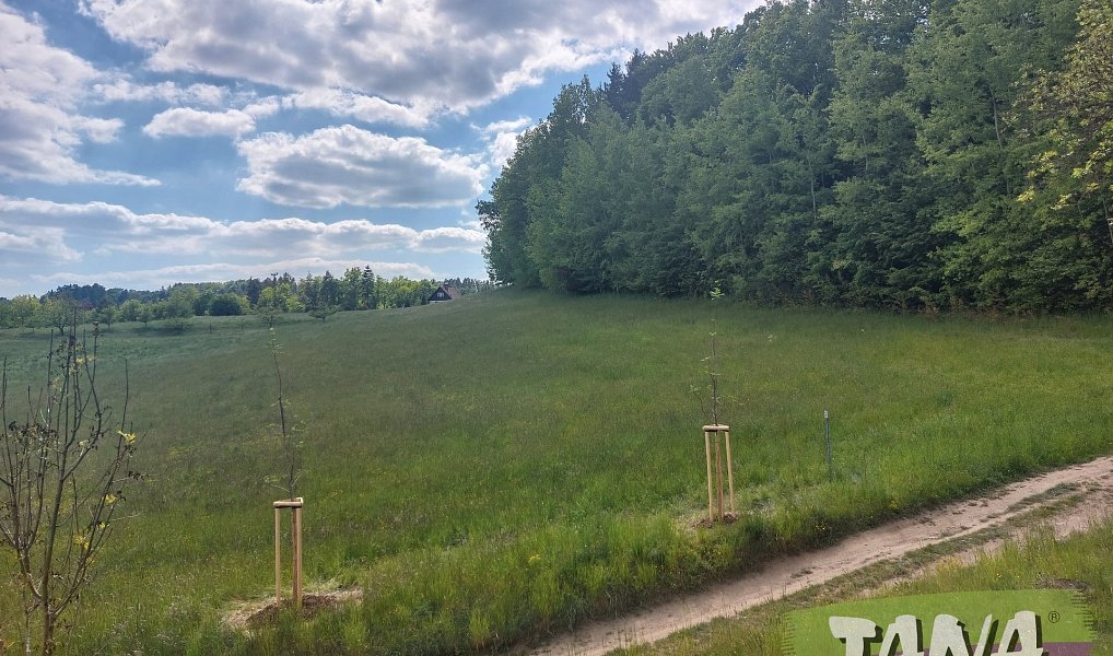 Prodej domu 120 m² s pozemkem 1 262 m², Sychrov – náhled fotky 5