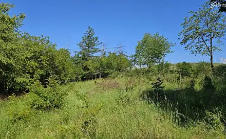 Prodej stavebního pozemku 1 845 m², Letovice - Zboněk, okres Blansko