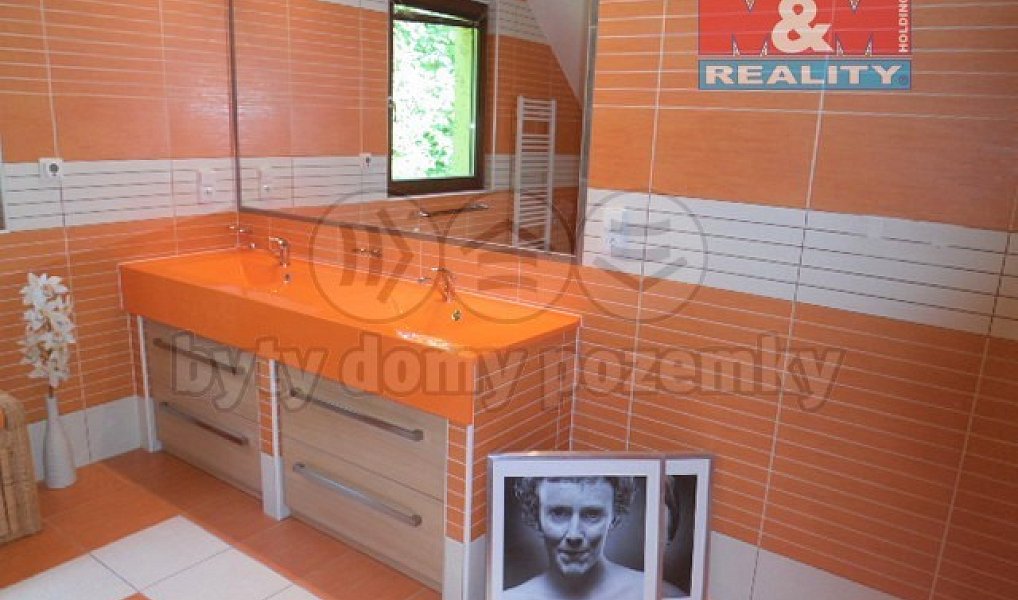 Pronájem domu 220 m² s pozemkem 220 m², Teplice – náhled fotky 6