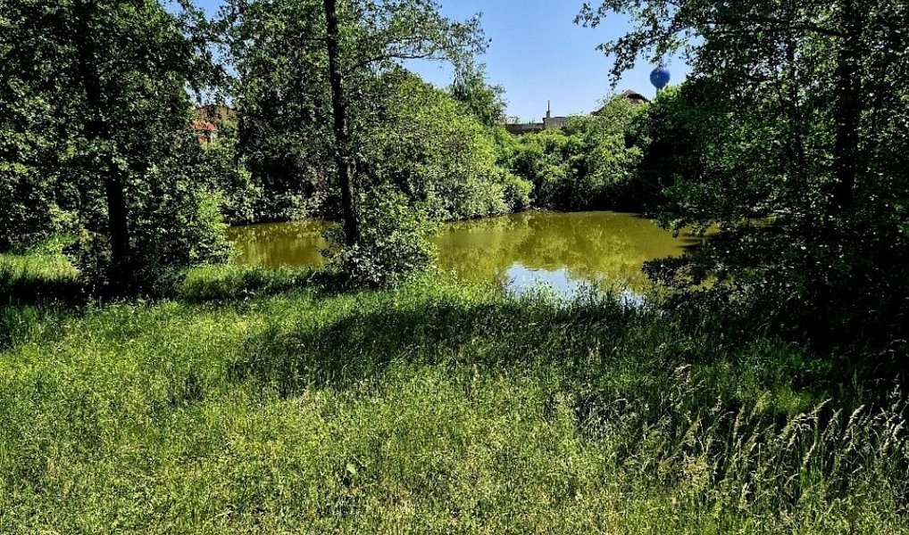 Prodej vodní plochy 8 425 m², Obruby – náhled fotky 7