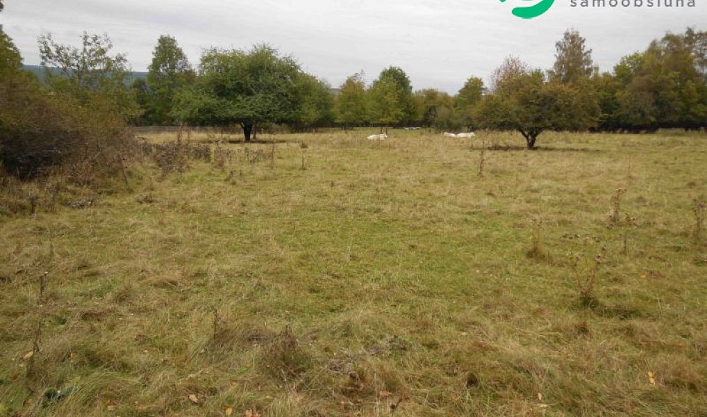 Prodej stavebního pozemku 1 000 m², Konstantinovy Lázně – náhled fotky 3
