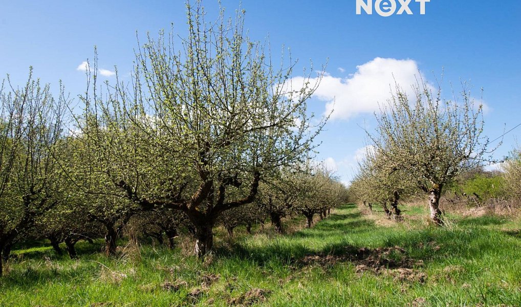 Prodej domu 263 m² s pozemkem 38 000 m², Jestřebí – náhled fotky 28