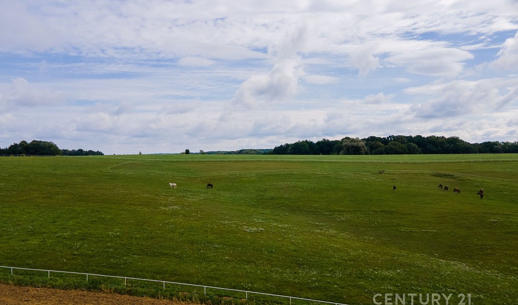 Prodej stavebního pozemku 1 811 m², Sedliště – náhled fotky 15