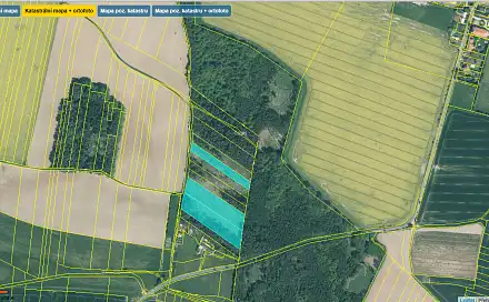 Prodej lesa 17 884 m², Stehlovice, okres Písek