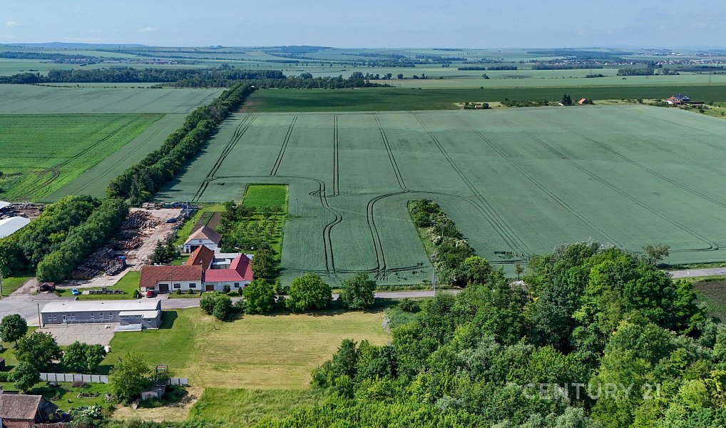 Prodej stavebního pozemku 1 000 m², Znojmo – náhled fotky 9
