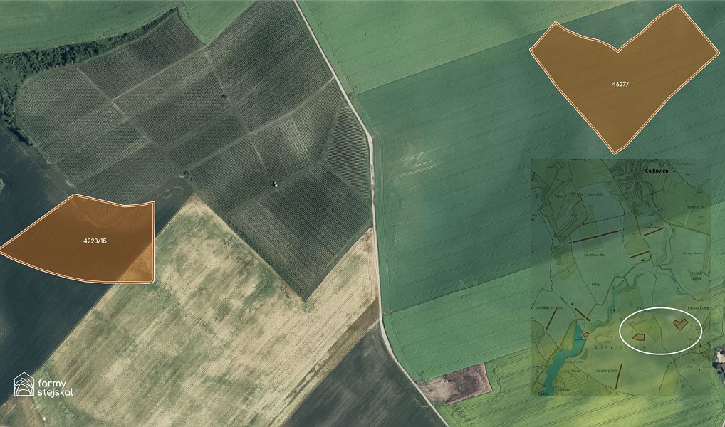 Prodej pole 194 311 m², Čejkovice – náhled fotky 5
