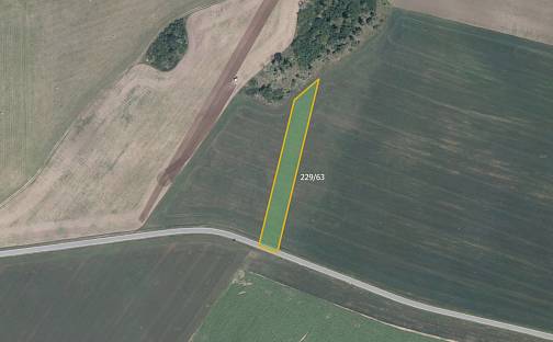 Prodej pole 11 664 m², Biskupice-Pulkov - Biskupice, okres Třebíč