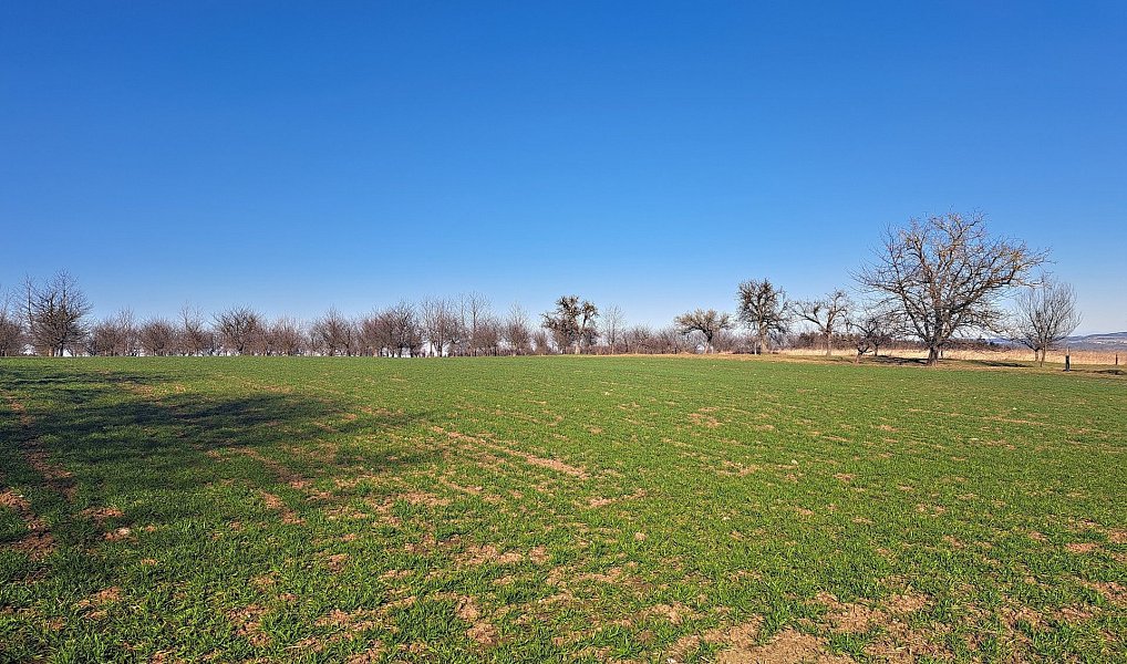 Prodej pole 4 979 m², Štěchov – náhled fotky 8