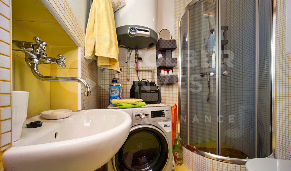 Prodej domu 330 m² s pozemkem 1 278 m², Dolní Moravice – náhled fotky 11