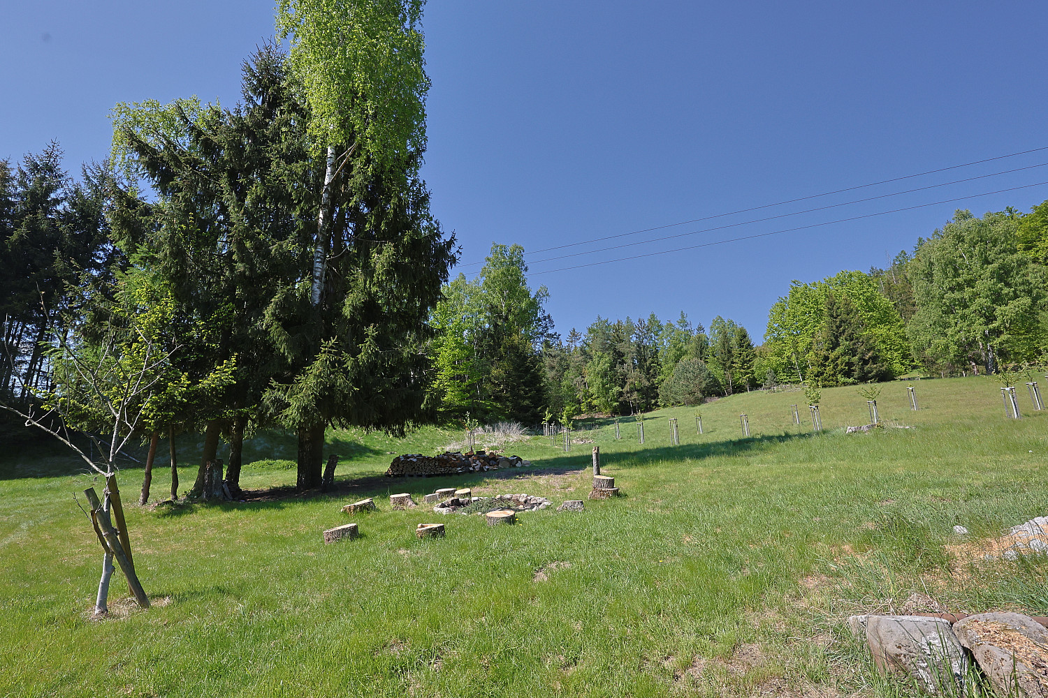 Prodej stavebního pozemku 7 364 m² – fotografie 5