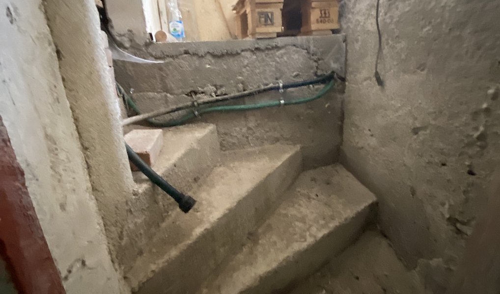 Prodej stavebního pozemku 1 605 m², Nová Ves pod Pleší – náhled fotky 17