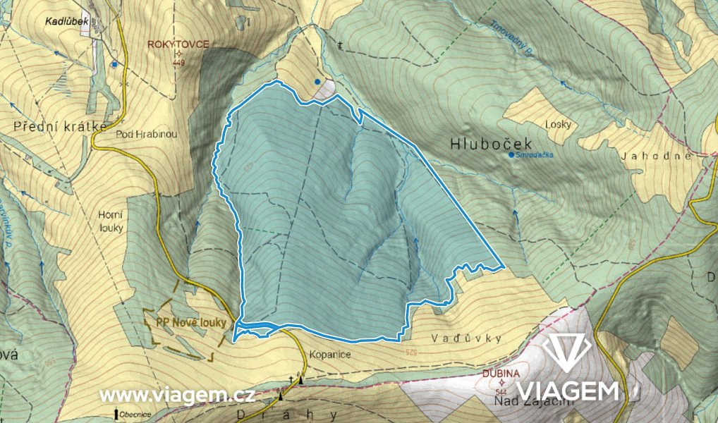 Prodej lesa 46 570 m², Korytná – náhled fotky 3