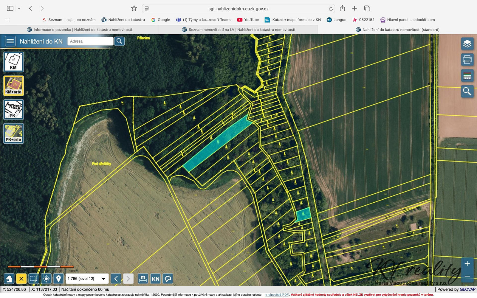 Prodej lesa 2 141 m²