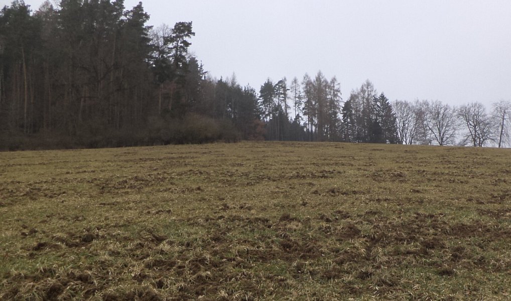 Dražba pozemku, 9983 m², Benešov, Zvěstov