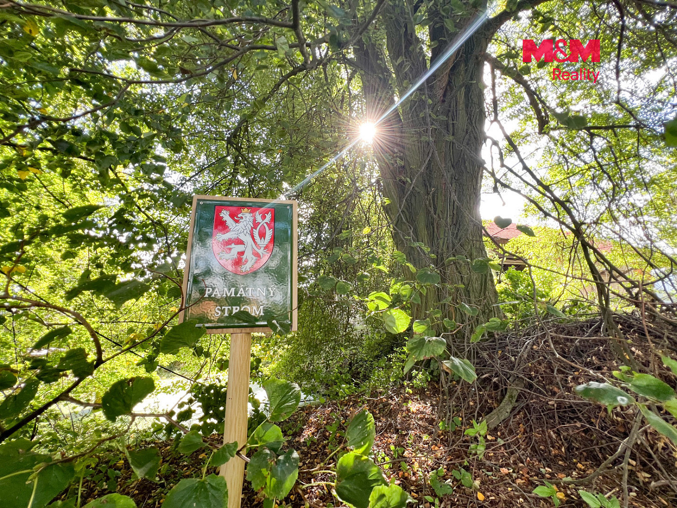 Prodej domu 750 m² s pozemkem 16 025 m² – fotografie 5