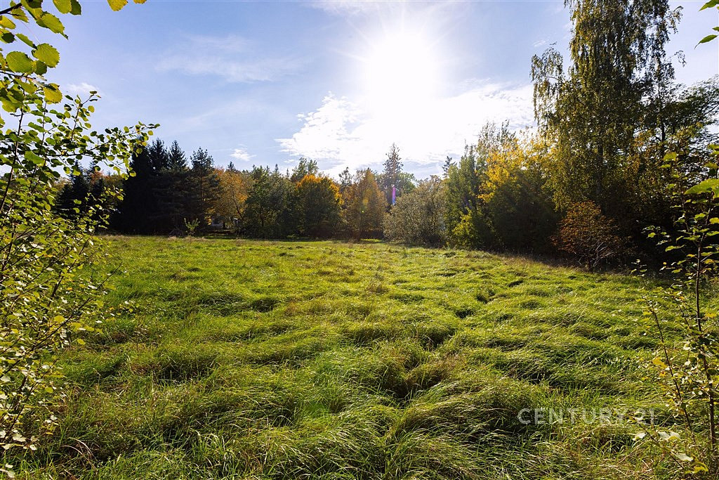Prodej stavebního pozemku 2 511 m² – pohled 6