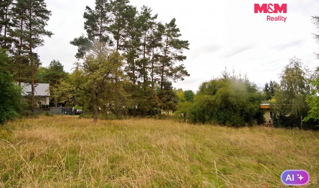 Prodej stavebního pozemku 2 828 m², Družec – náhled fotky 8